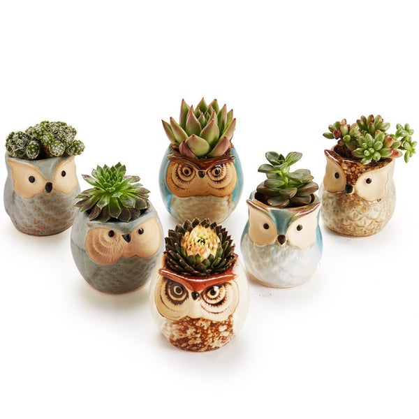 6-Pack: 2.5 Inch Owl Pot Ceramic Base Best Wholesale Sale Online