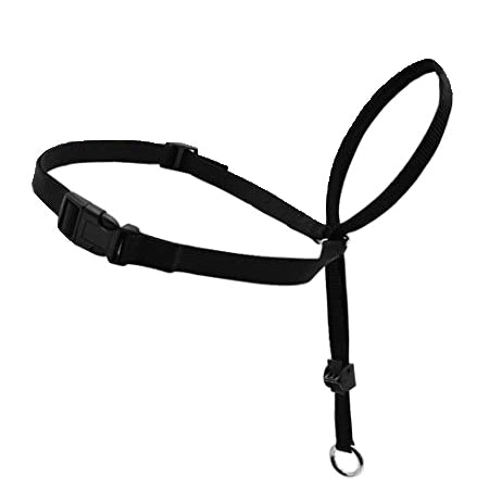 Headcollar Adjustable Dog Harness Buy Cheap Nicekicks