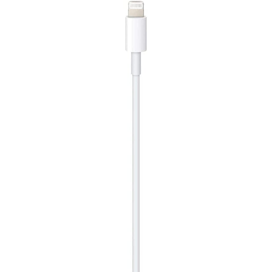 Apple Lightning to USB-C Cable (3.3 ft) 2025 Online