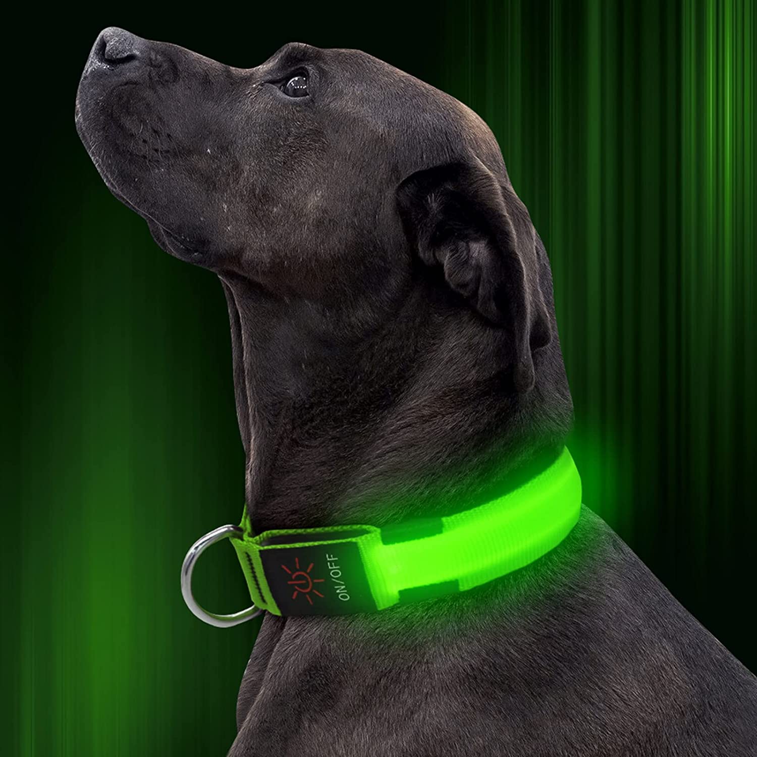 LED Pet Collar Shop Offer Cheap Pice