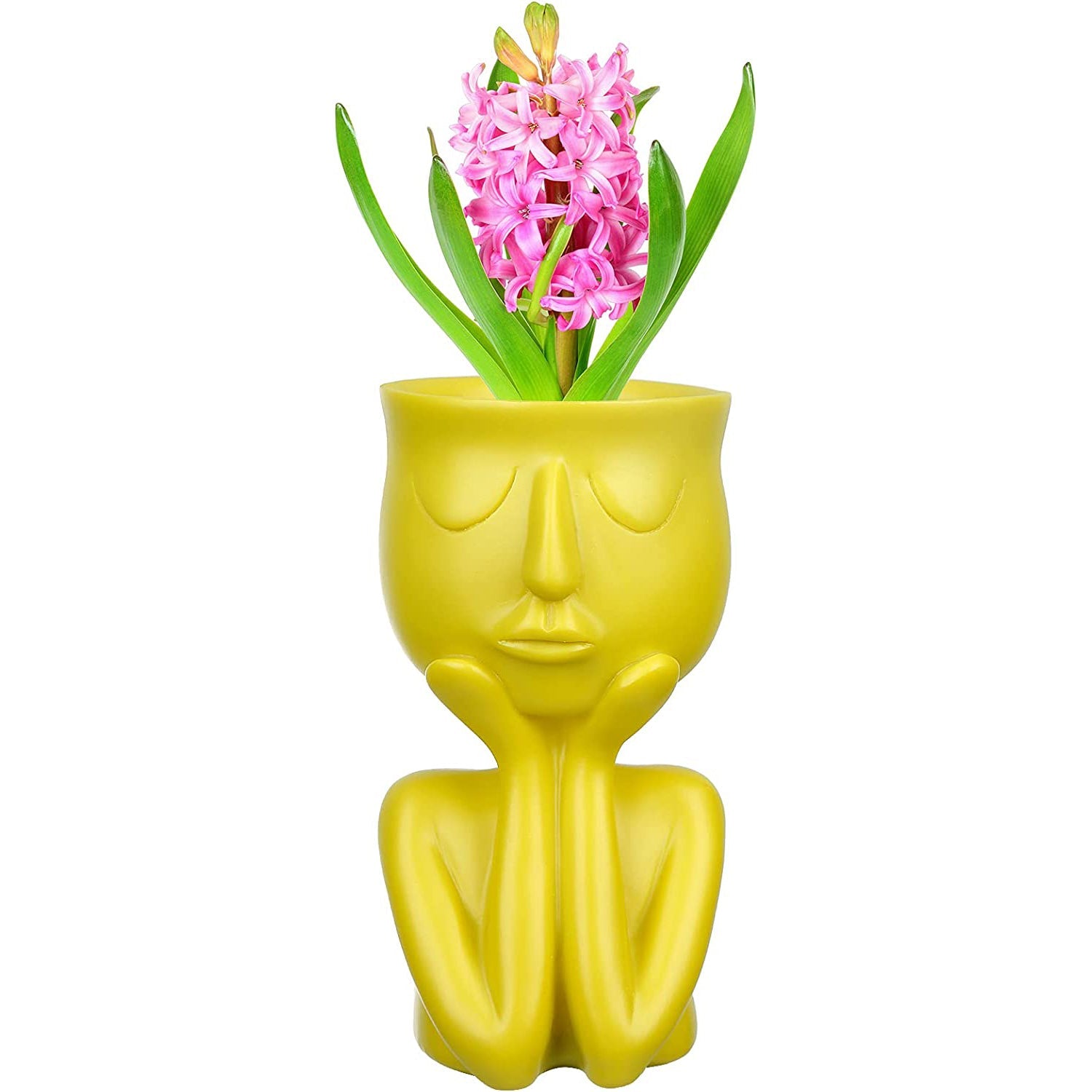 Face Flower Pot Head Planter Inexpensive Cheap Online