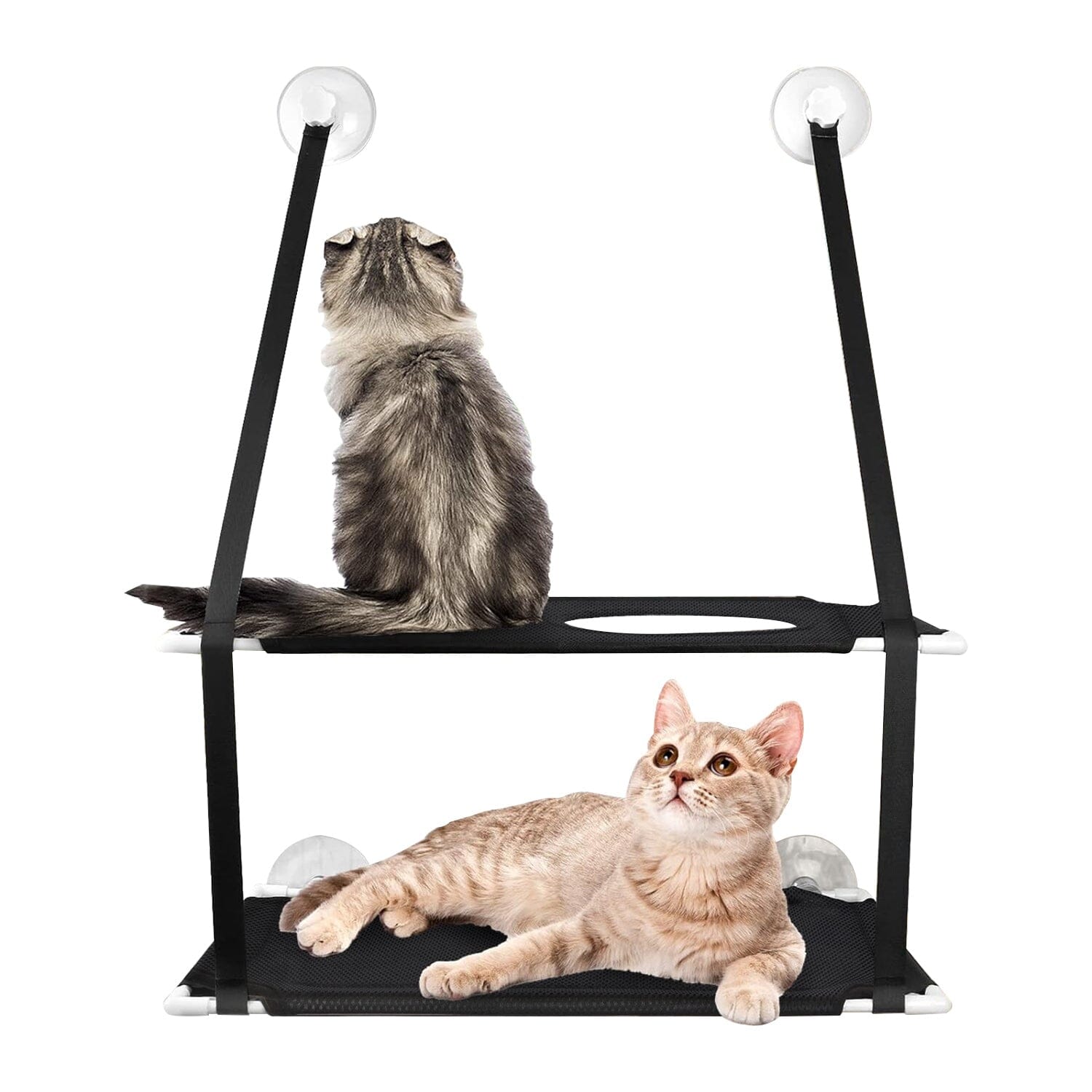 Double Layer Perch Bed Powerful Suction Indoor Window Hammock for Cat Best Wholesale