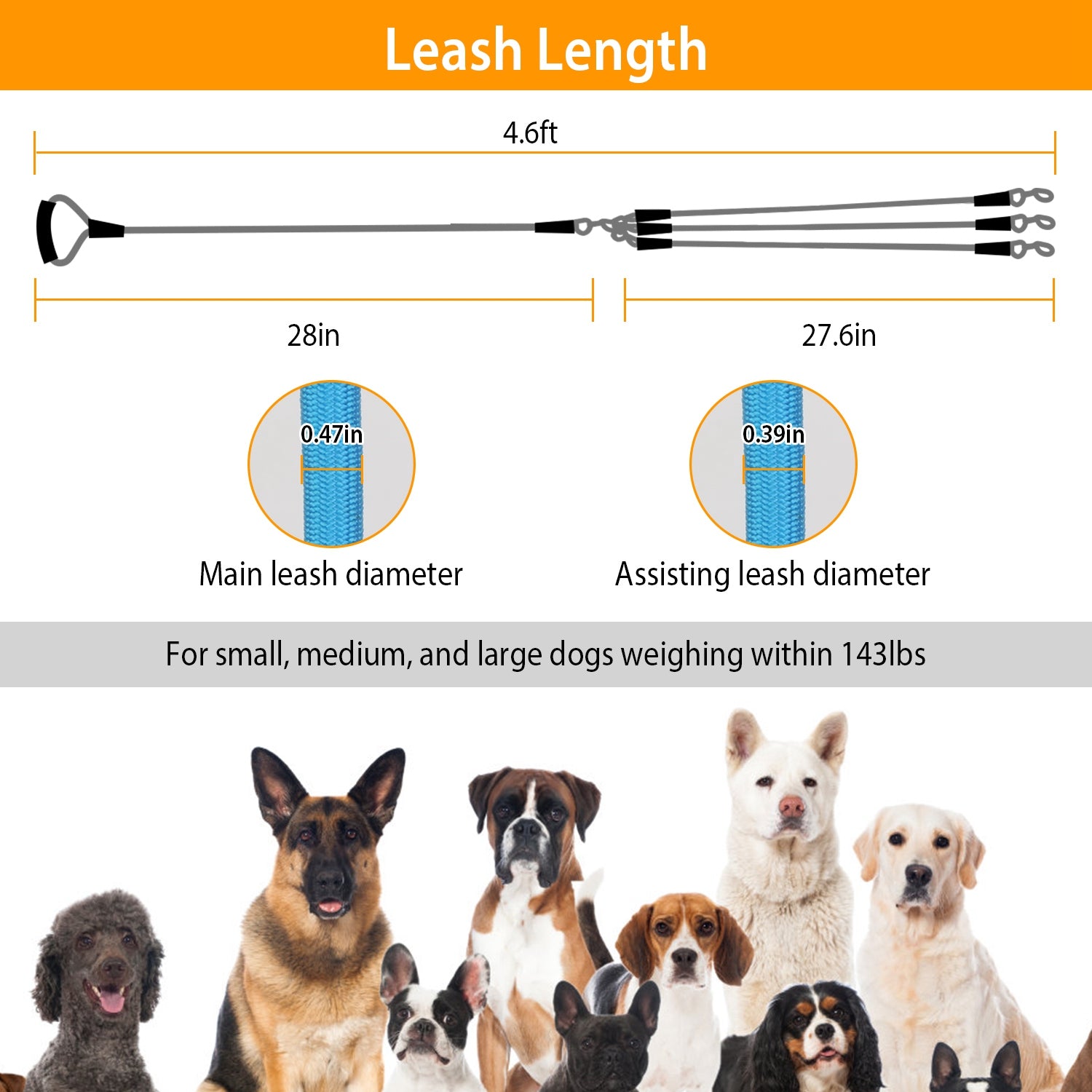 3 Dog Leash Traction Rope Walking Training Lead with Padded Handle Best Store To Get Cheap Online