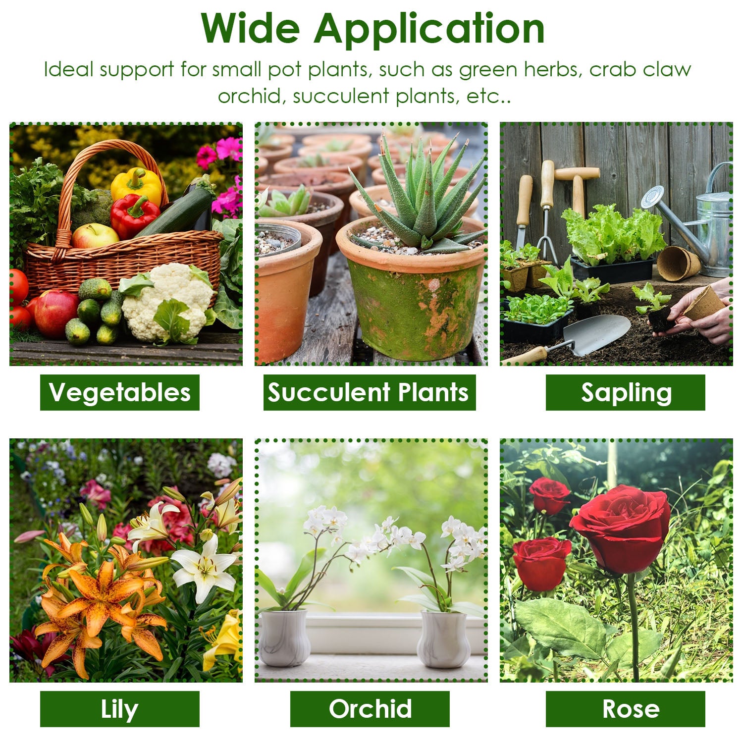 15-Piece: Garden Plant Support Stakes Cheap Sale With Mastercard