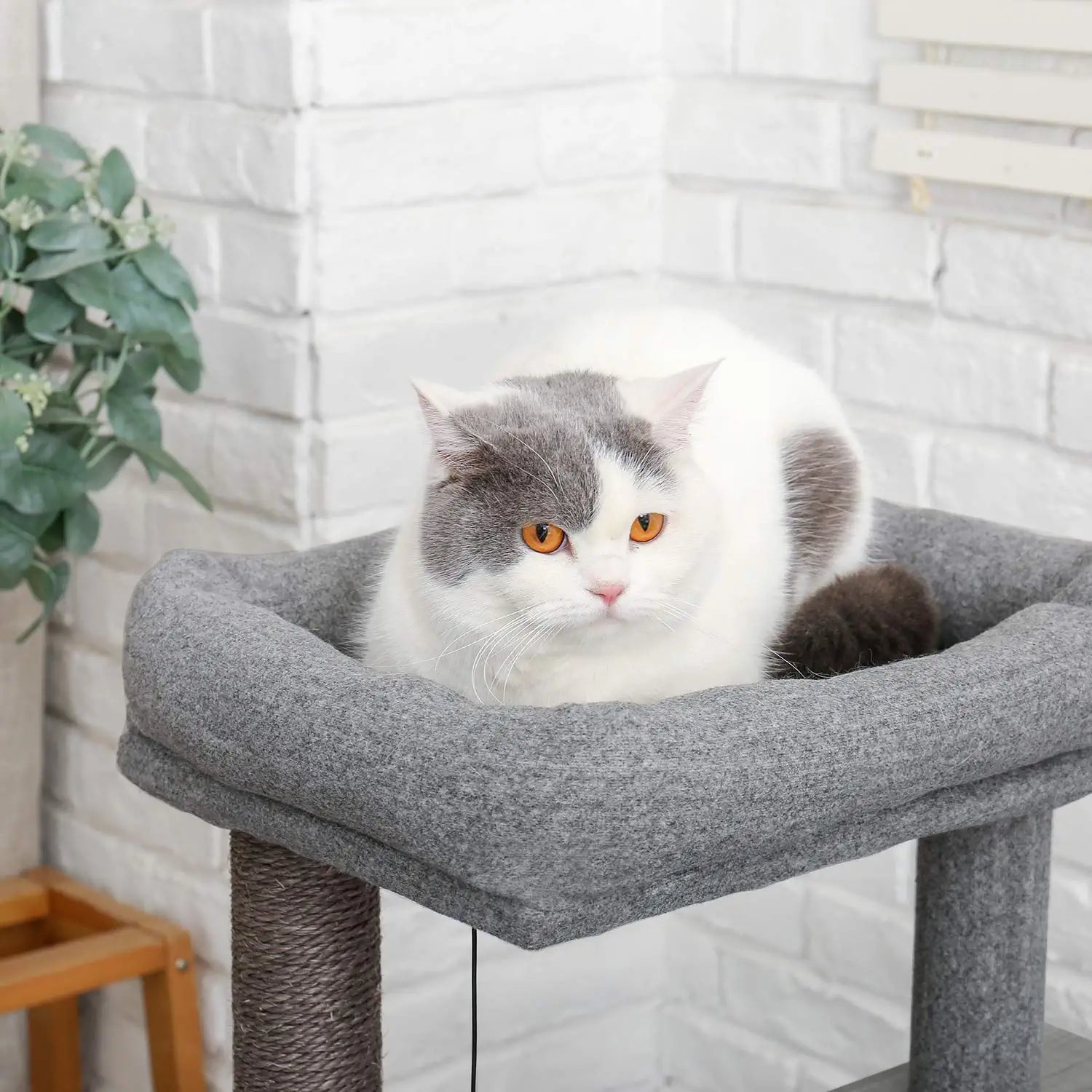 Cat Tree Deluxe 34 Cat Tower Low Cost Online