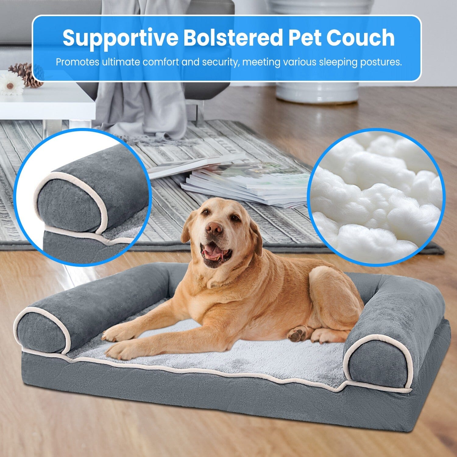 Pet Bed Cushion Couch Outlet Locations Cheap Pice