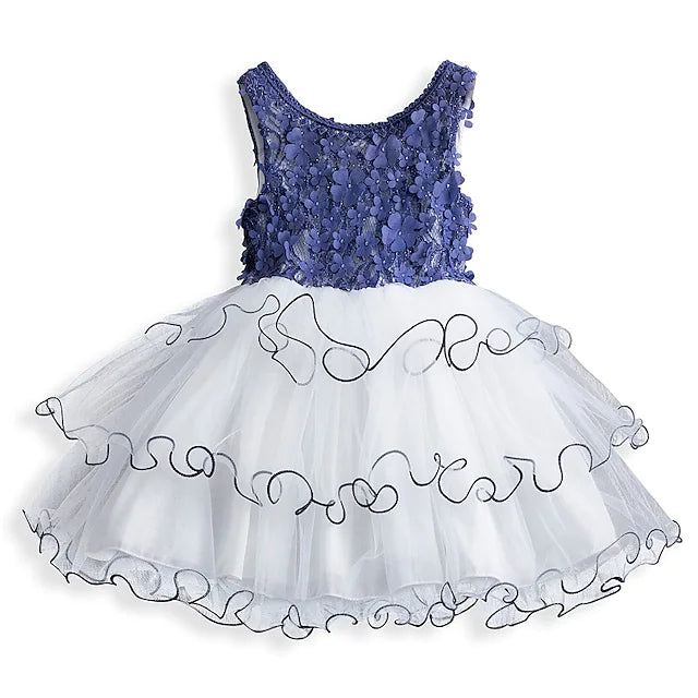 Girls' Ruffle Mesh Embroidered Dress Classic Cheap Pice