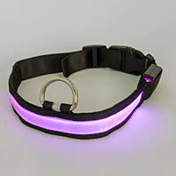 LED Pet Collar Shop Offer Cheap Pice