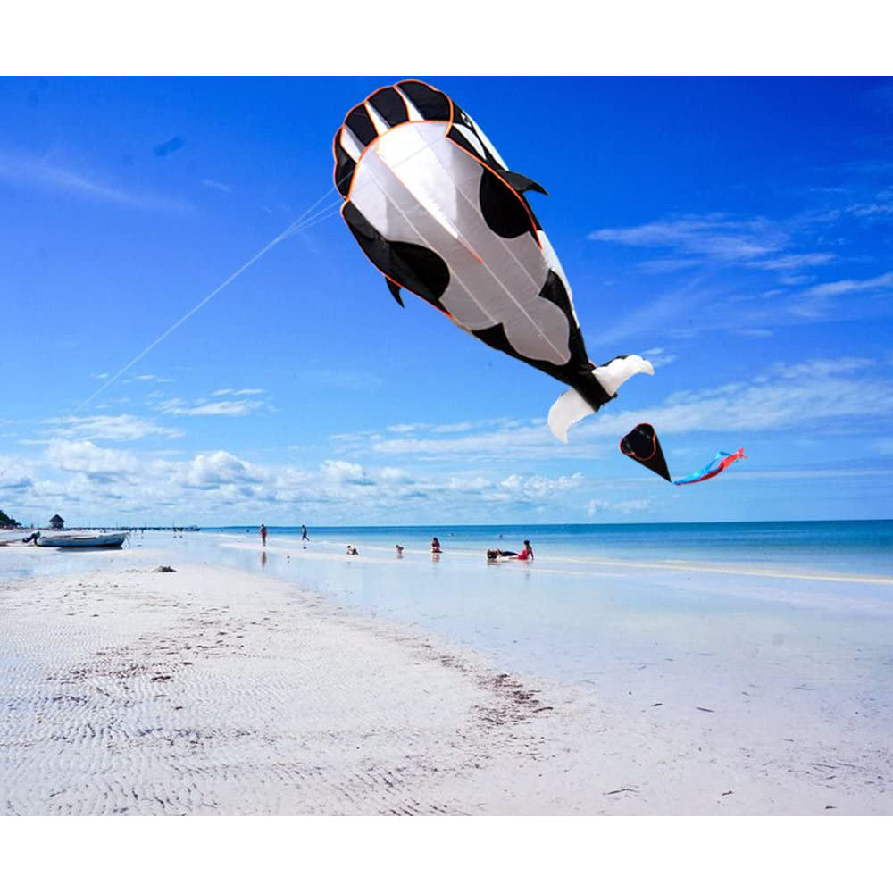 3D Whale Kite for Kids and Adults Free Shipping Top Quality