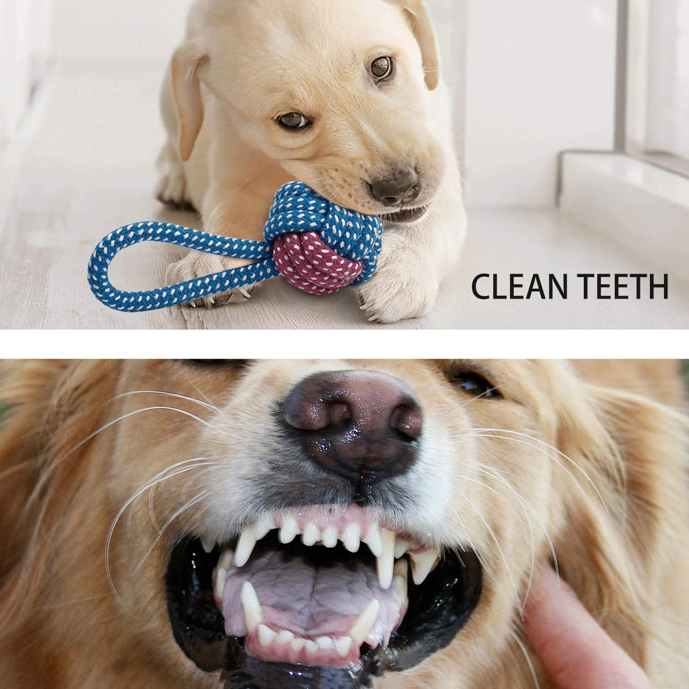 7-Piece: Puppy Cord Chew Toys Buy Cheap Clearance Store