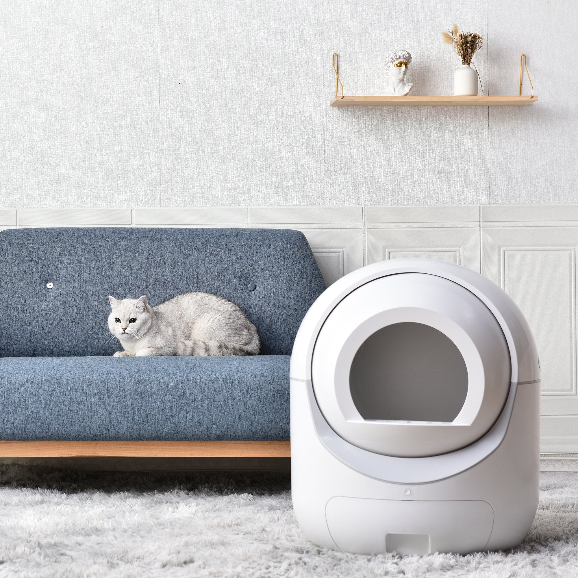 Smart Automatic Litter Box, Self -Cleaning Cat Litter Box for Multiple Cats Outlet Purchase