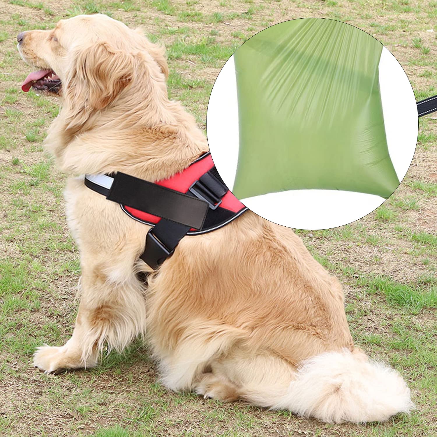 2-Pack: Dog Poop Bag Dispenser with Built-in LED Flashlight With Mastercard