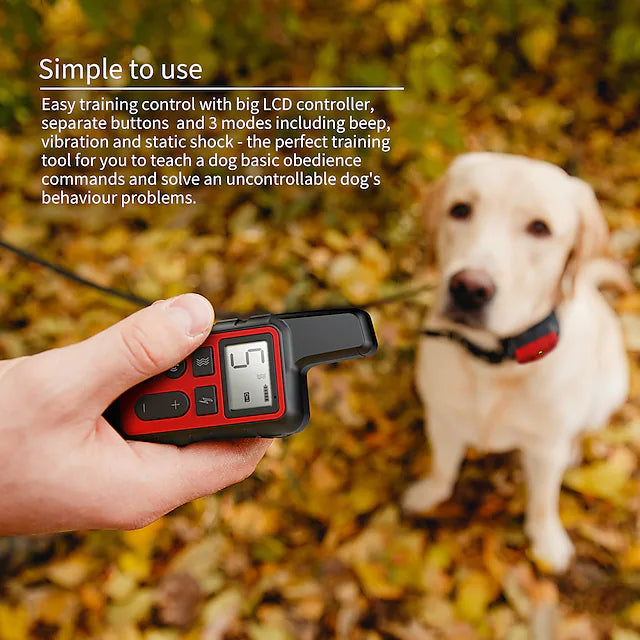 Dog Training Shock Collar Reliable Sale Online