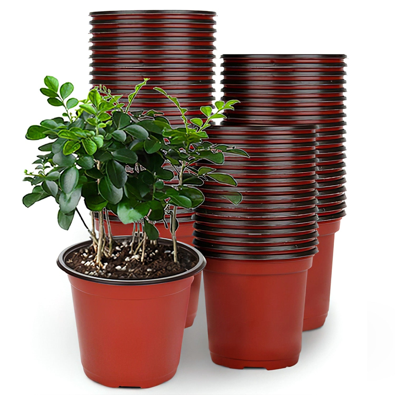 100-Piece: Plastic Plant Nursery Pots Finishline