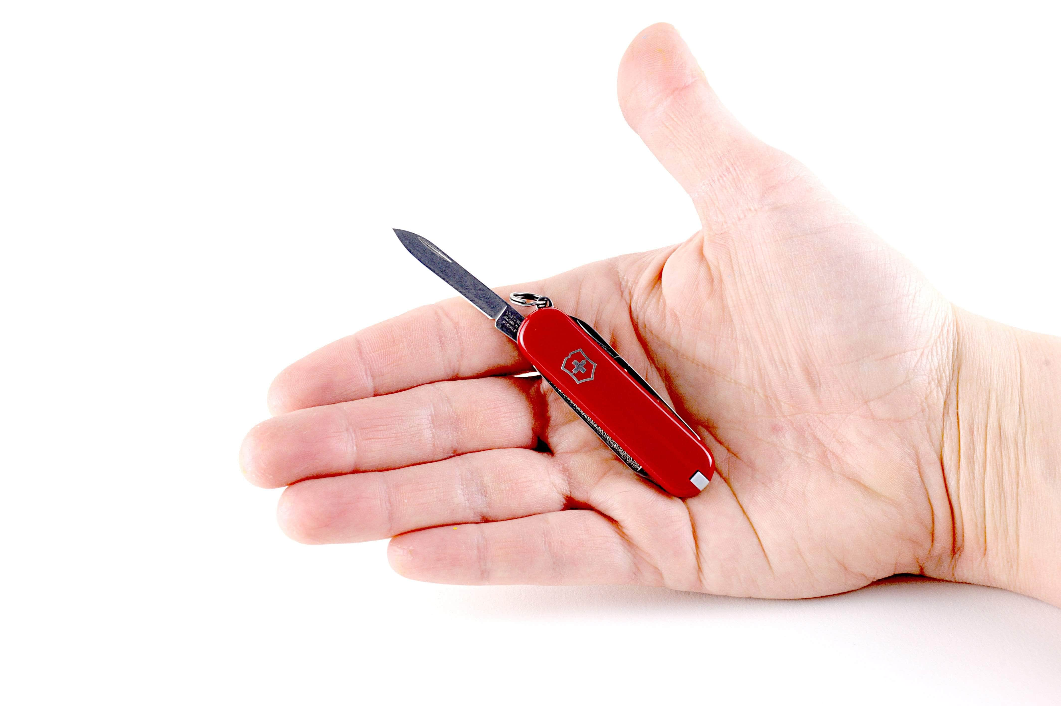 Victorinox Classic SD Swiss Army Knife, Red Cellidor Scales, 7 Functions Supply Online