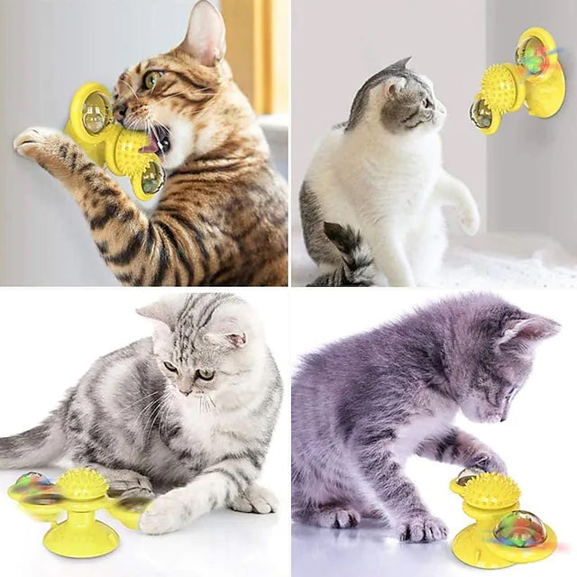 Cat Teases Interactive Pet Toy Cheap Best Place