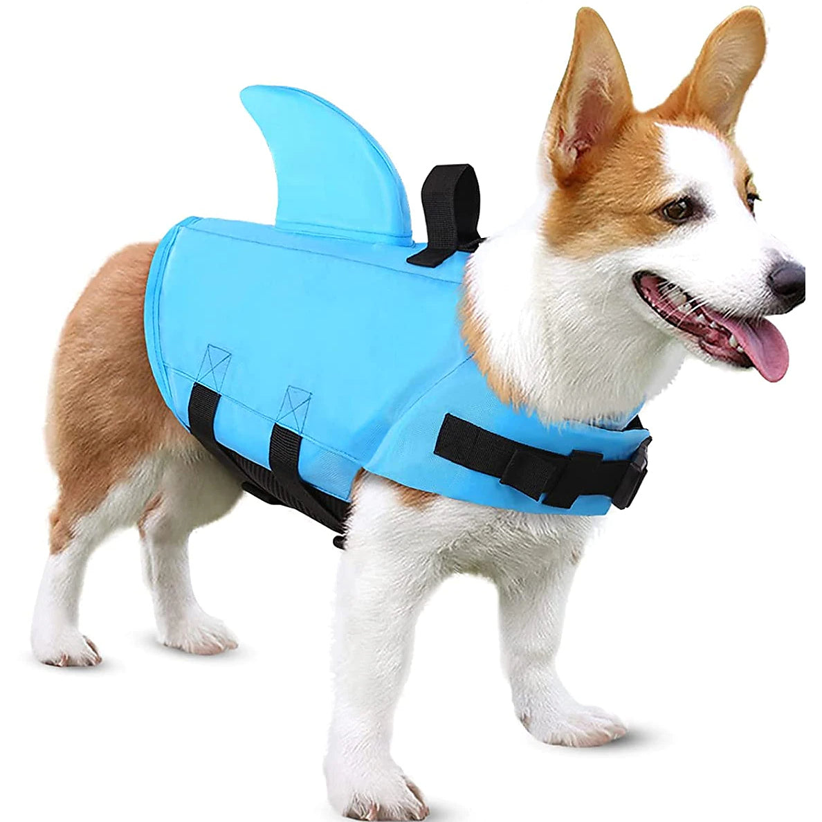 Dog Swimsuit with Shark Fin Clearance Explore