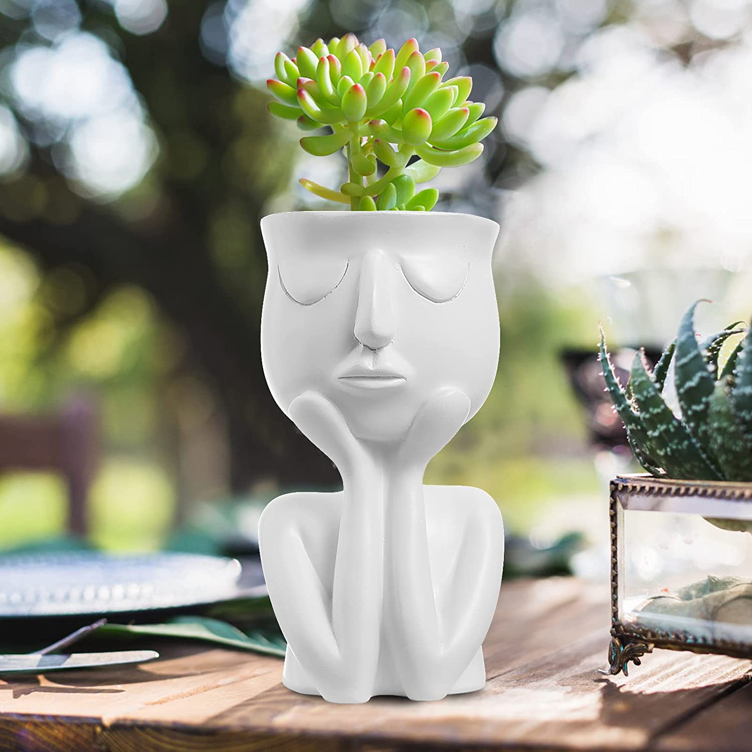 Face Flower Pot Head Planter Inexpensive Cheap Online