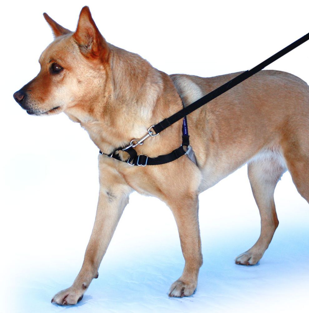 Headcollar Adjustable Dog Harness Buy Cheap Nicekicks