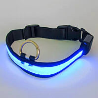 LED Pet Collar Shop Offer Cheap Pice