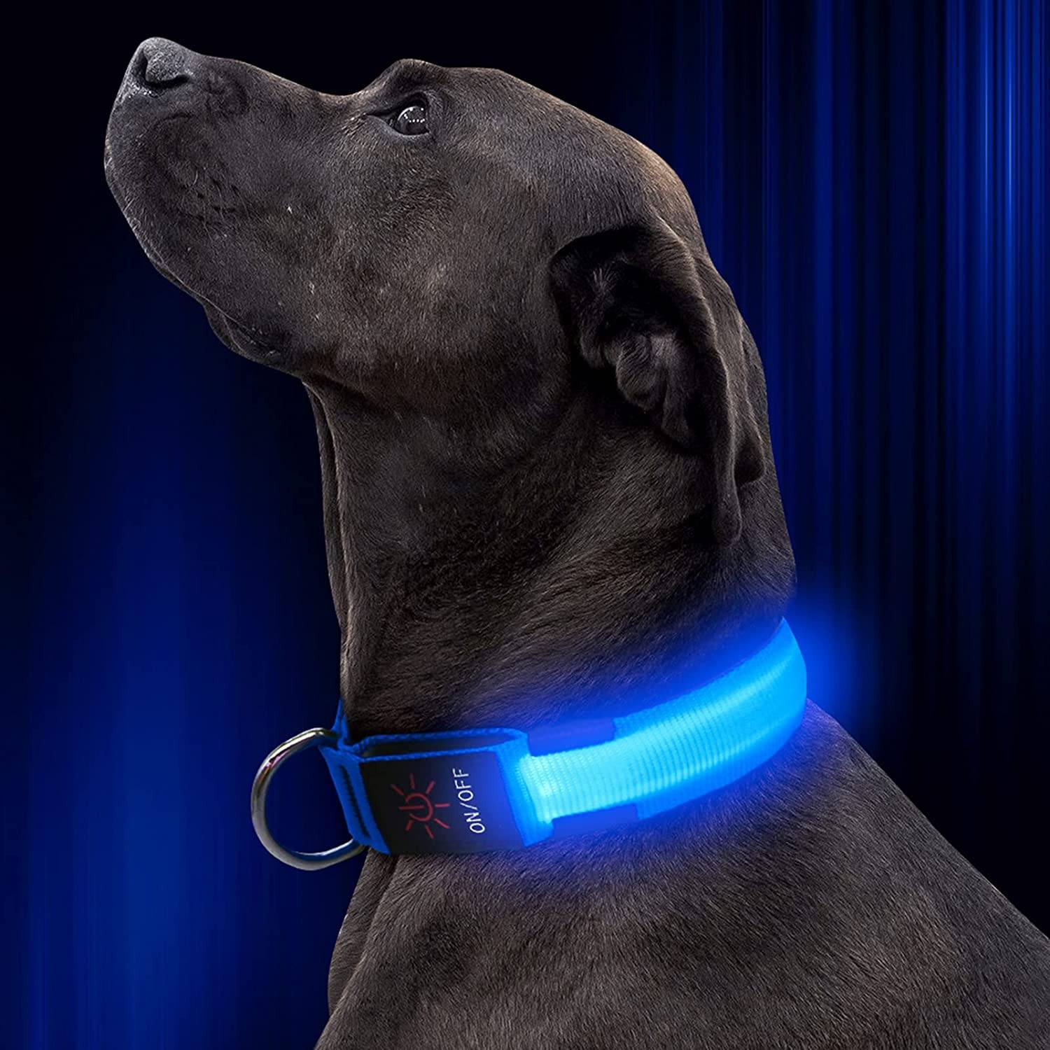 LED Pet Collar Shop Offer Cheap Pice