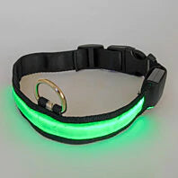 LED Pet Collar Shop Offer Cheap Pice