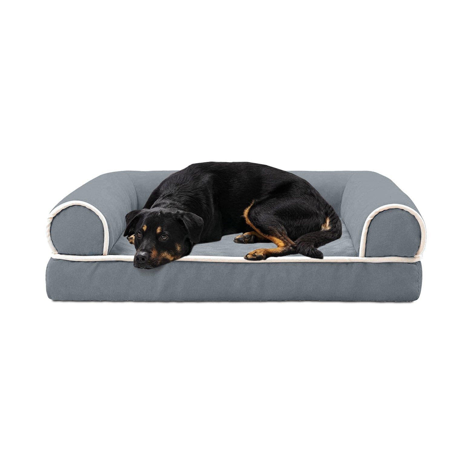 Pet Bed Cushion Couch Outlet Locations Cheap Pice