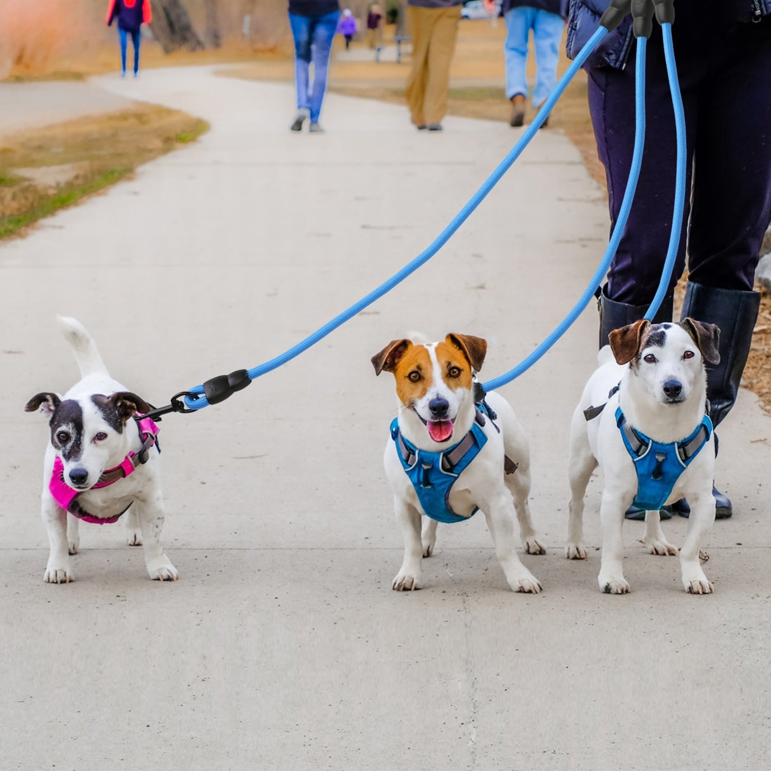 3 Dog Leash Traction Rope Walking Training Lead with Padded Handle Best Store To Get Cheap Online