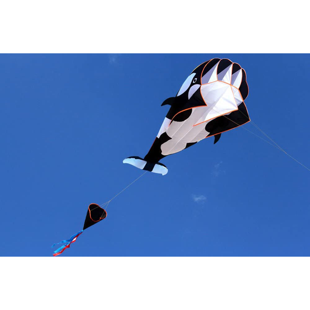 3D Whale Kite for Kids and Adults Free Shipping Top Quality