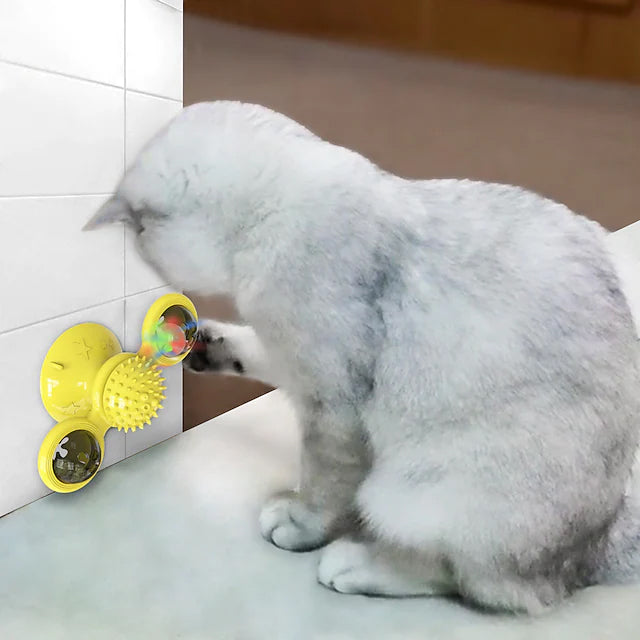 Cat Teases Interactive Pet Toy Cheap Best Place