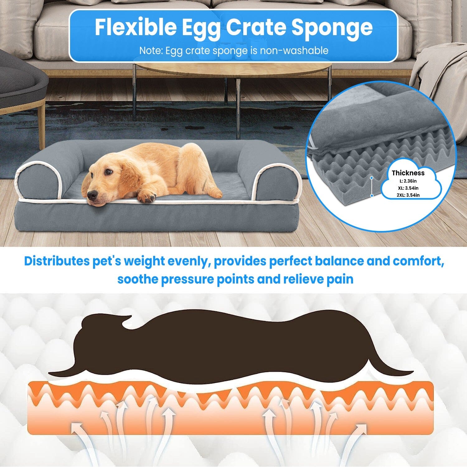 Pet Bed Cushion Couch Outlet Locations Cheap Pice