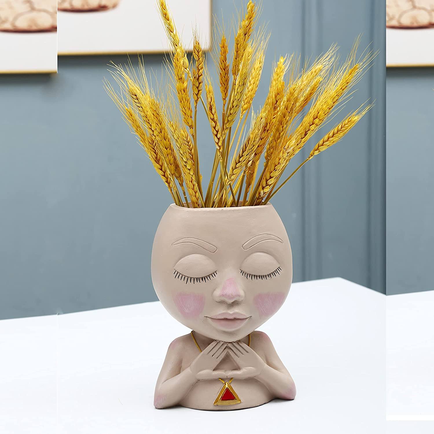 Face Flower Pot Head Vase for Indoor Plant Decoration Sale Tumblr