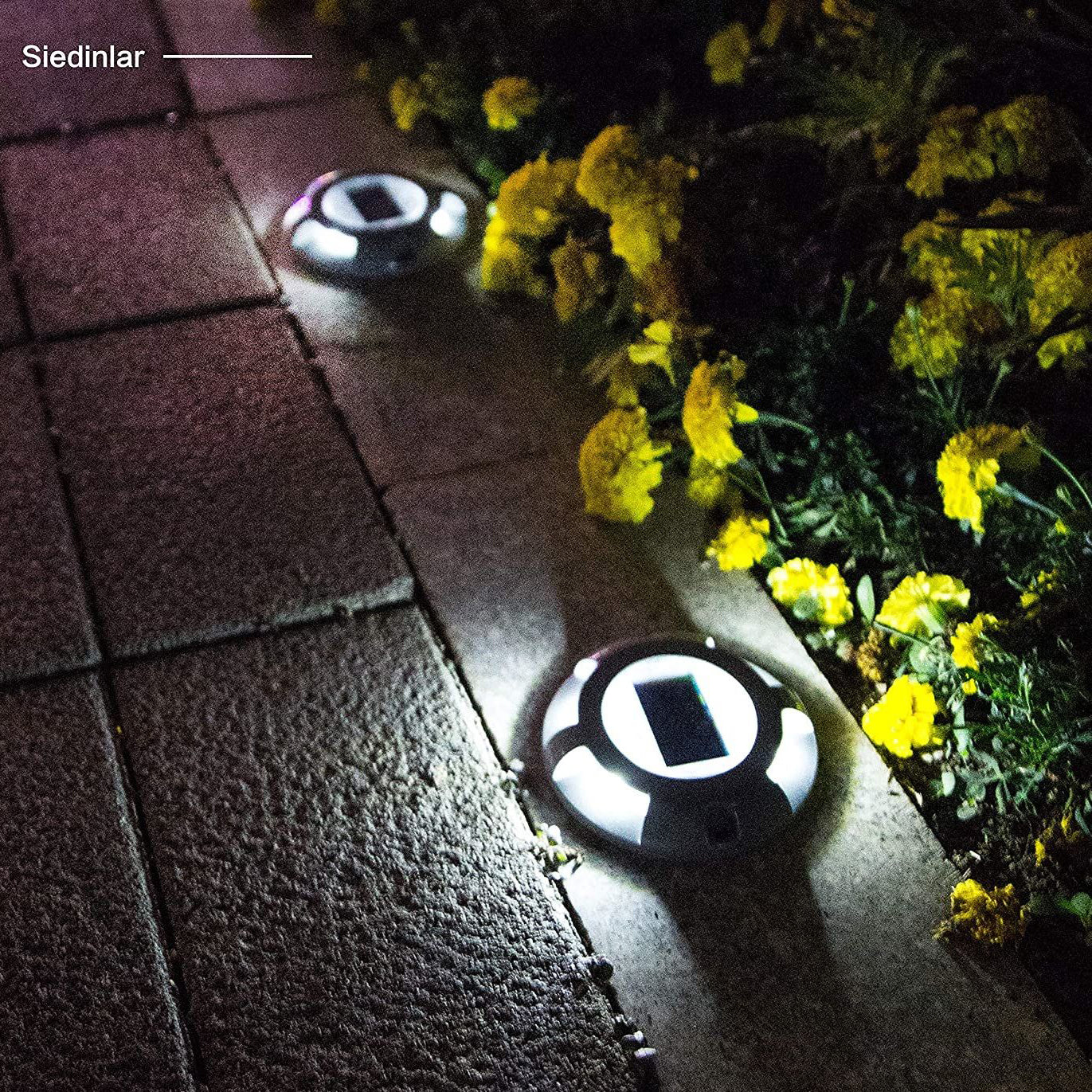 4-Pack: Solar Deck Driveway Outdoor Lights Free Shipping Good Selling