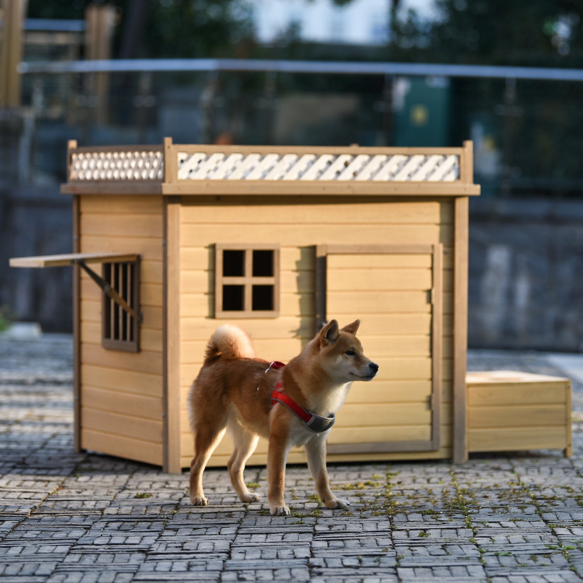 Aukfa 39.4” Wooden Dog House Puppy Shelter Kennel Outdoor & Indoor Dog Crate Cheap Nicekicks