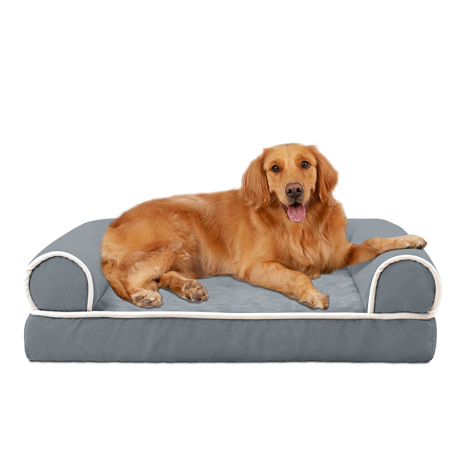 Pet Bed Cushion Couch Outlet Locations Cheap Pice