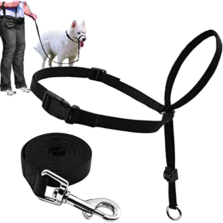 Headcollar Adjustable Dog Harness Buy Cheap Nicekicks