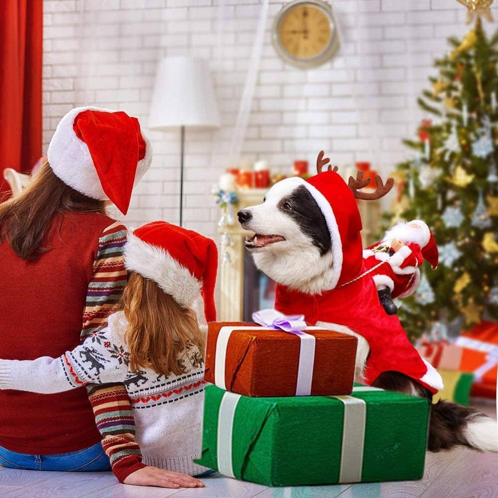 Dog Costume Christmas Pet Clothes Buy Cheap Genuine