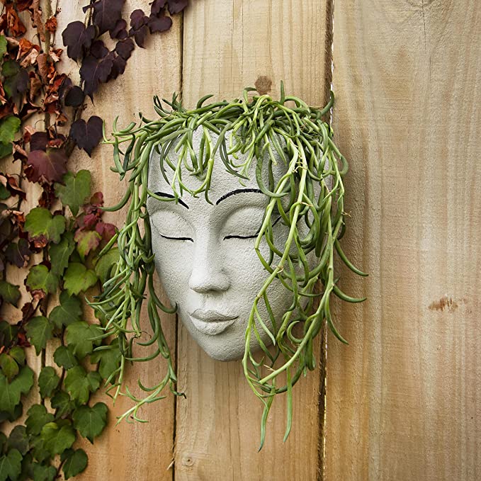 Outdoor Face Planter with Drainage for Cute Plants Sale Latest