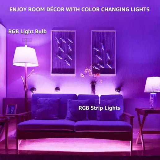2-Pack: Smart Home Multi-Color LED A19 Bulb 5W Store Cheap Online