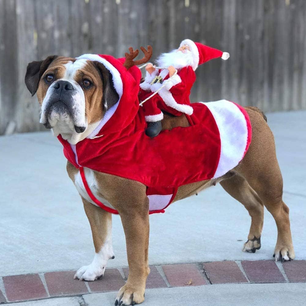 Dog Costume Christmas Pet Clothes Buy Cheap Genuine