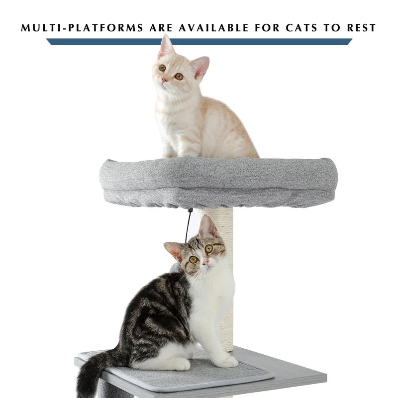 61.8 Cat Tree Best Place