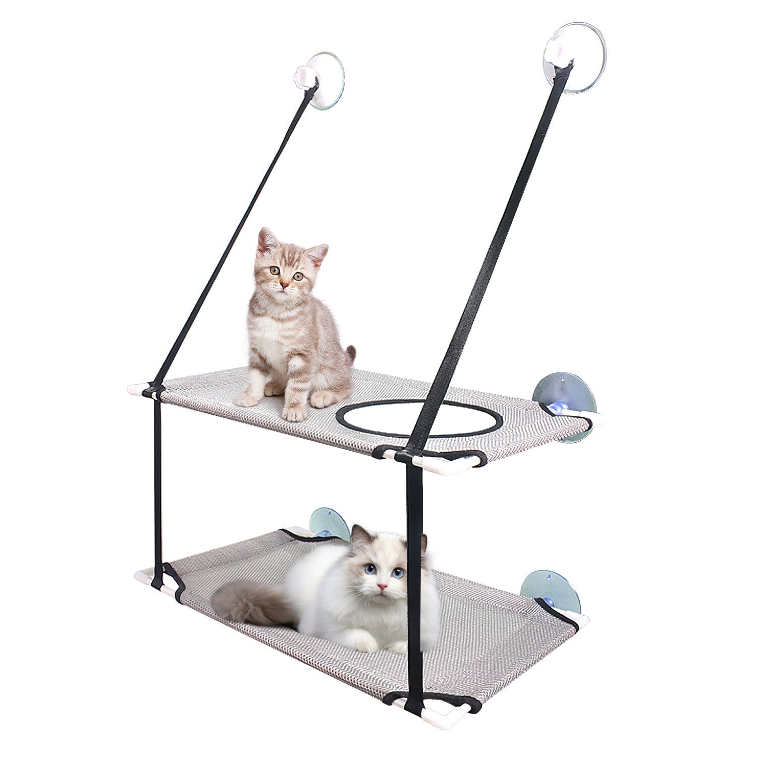 Double Layer Perch Bed Powerful Suction Indoor Window Hammock for Cat Best Wholesale