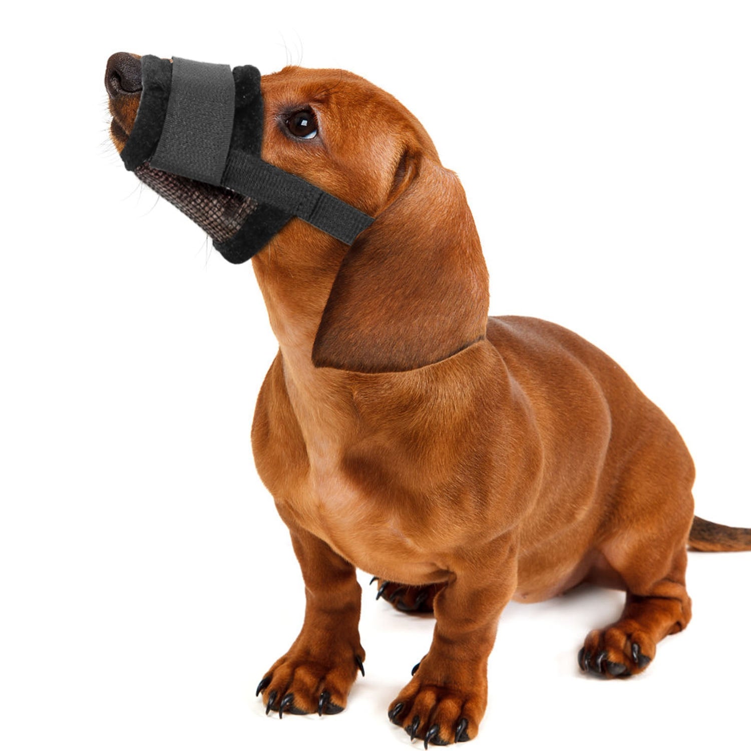 Pet Dog Muzzle Mask Adjustable Dog Mouth Cover For Sale Official Site