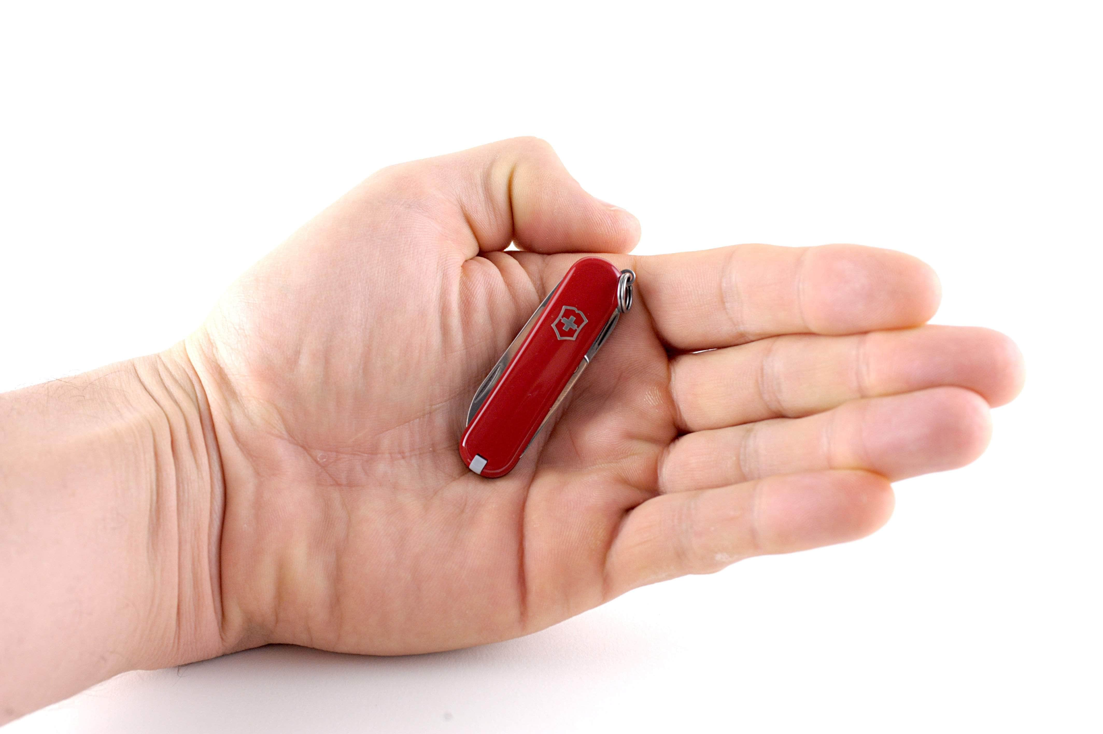 Victorinox Classic SD Swiss Army Knife, Red Cellidor Scales, 7 Functions Supply Online