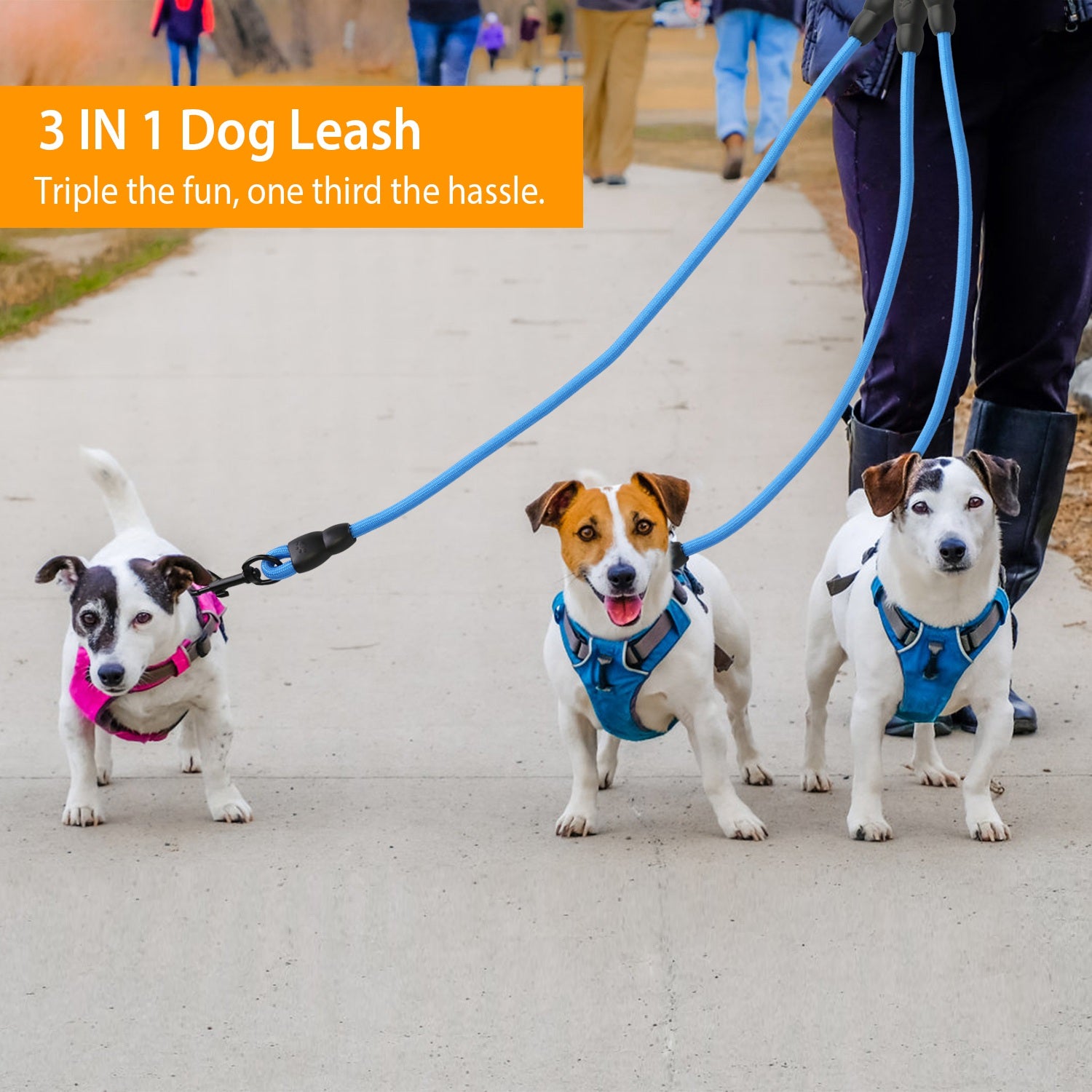 3 Dog Leash Traction Rope Walking Training Lead with Padded Handle Best Store To Get Cheap Online