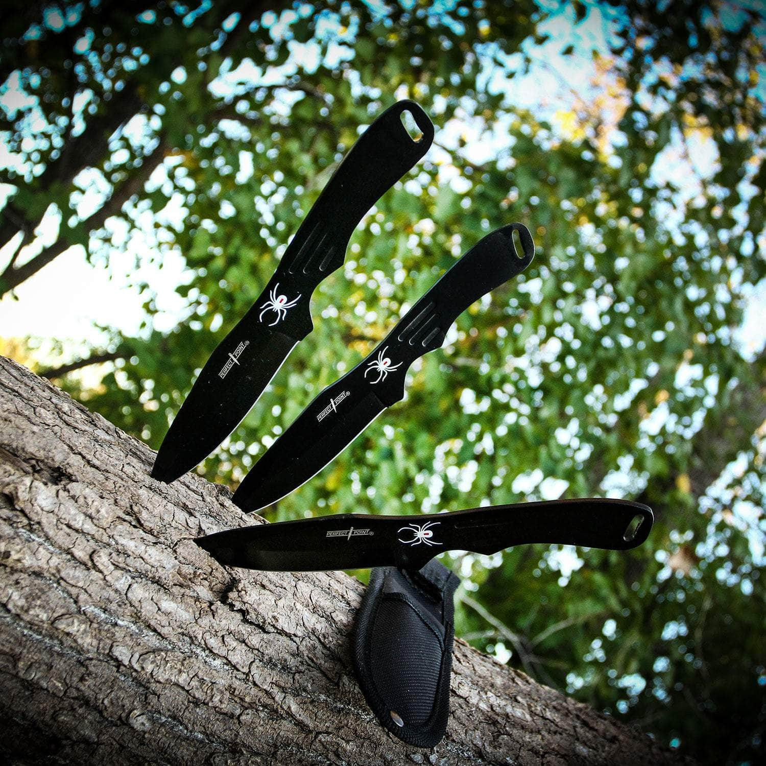 Perfect Point Throwing Knives, 3 8 Black Throwers, Sheath - RC-1793B 2025 New Cheap Online