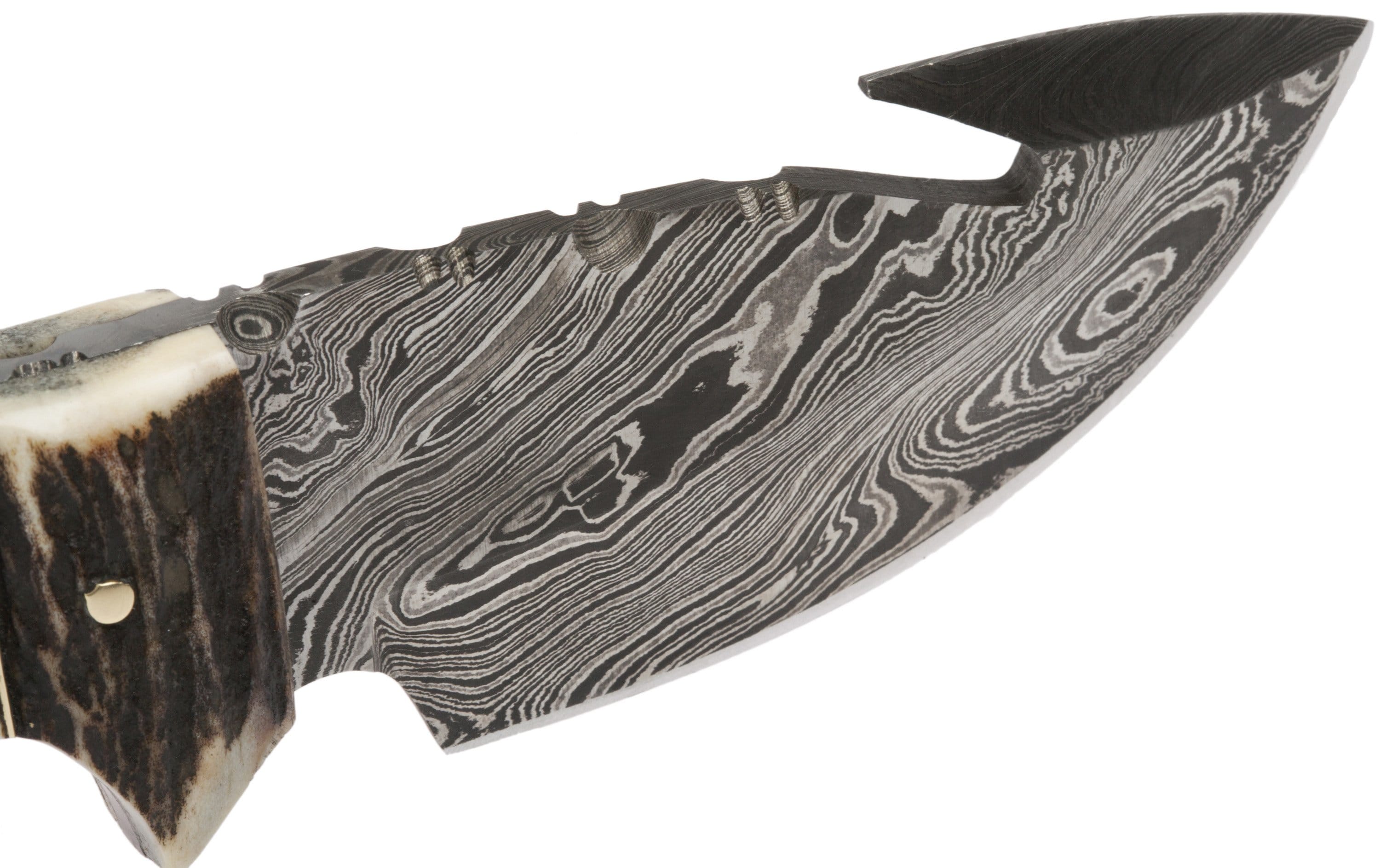 White Deer Damascus Steel Skinner, 3.5 Guthook Blade, Stag Handle, Sheath DM-101 Cheap Sale Online Online