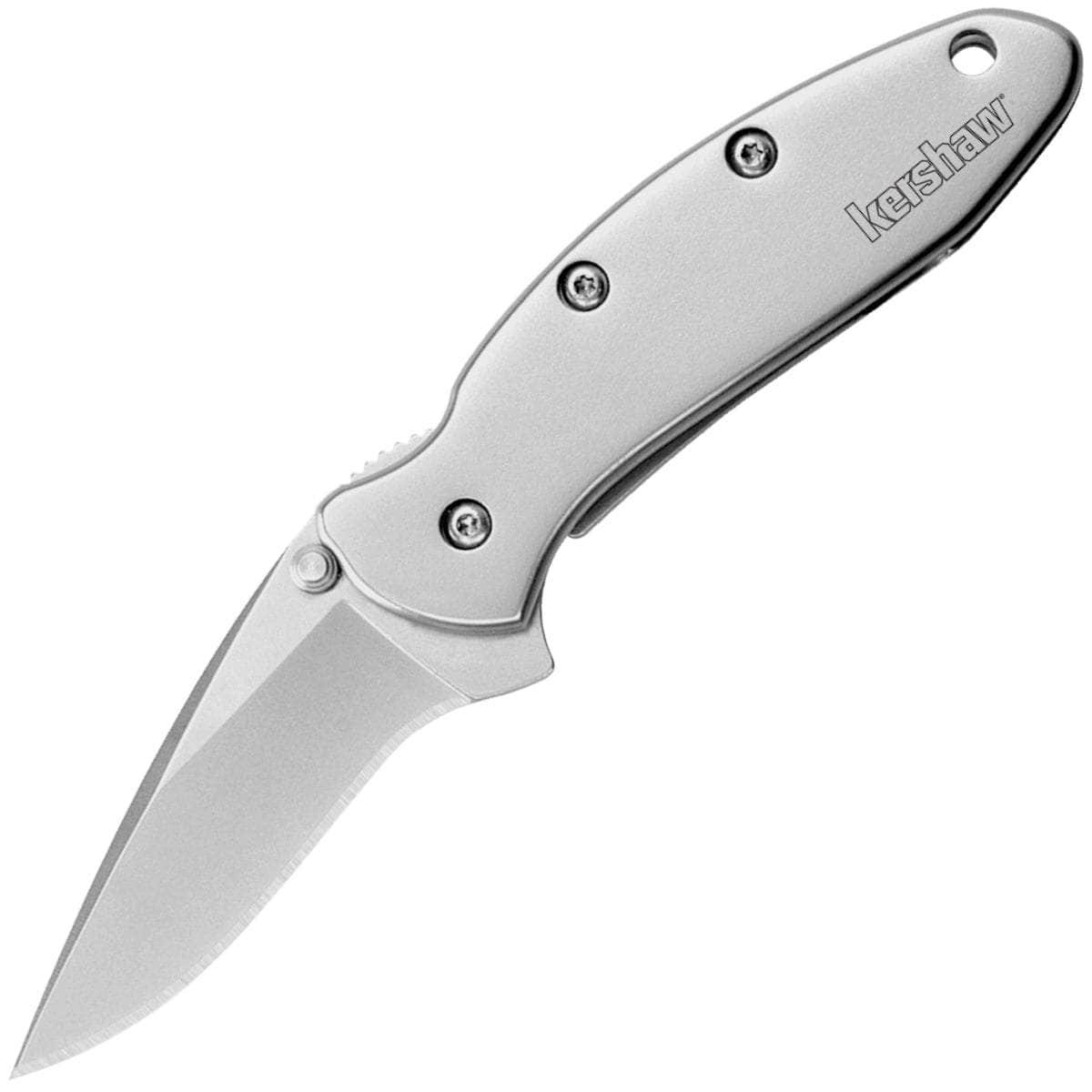 Kershaw Chive, 1.9 Assisted Blade, Stainless Steel Handle - 1600 Perfect Cheap Online