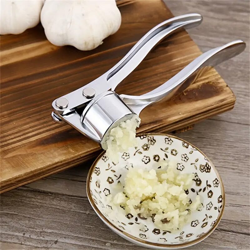 Metal Garlic Press Manually Crusher Pay With Visa Cheap Pice