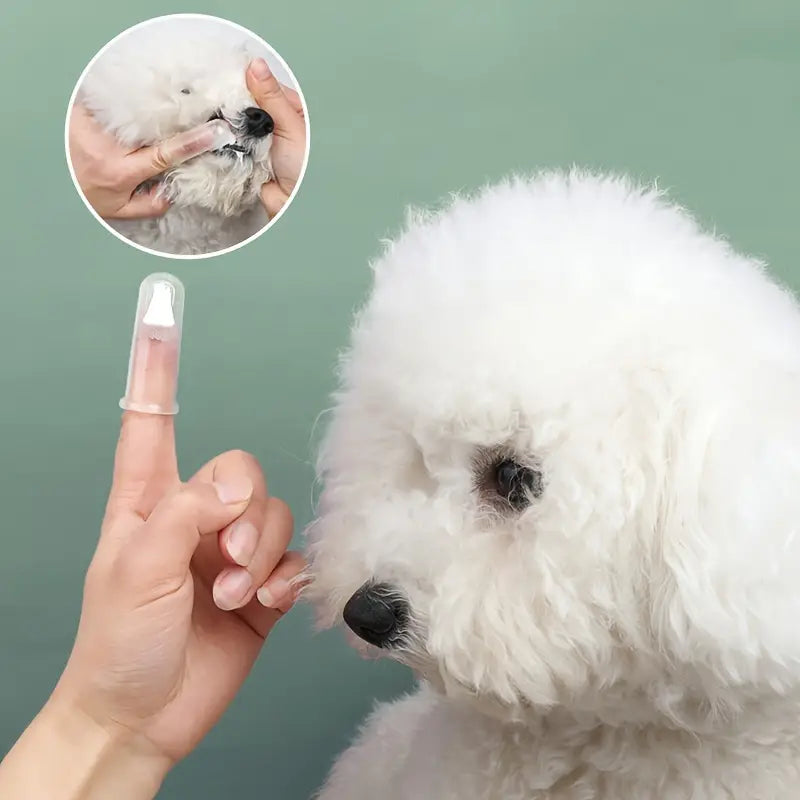 Finger Toothbrush For Dogs and Cats Finishline Cheap Online